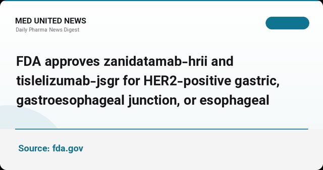 تأیید FDA برای Ziihera با و بدون Tevimbra در سرطان HER2 مثبت معده